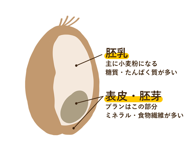 小麦ブランとは | 超低糖質ブランパン専門店Switch